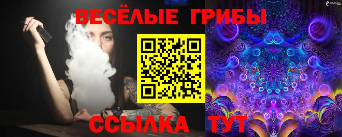 Псилоцибиновые грибы Psilocybine cubensis  Вход с VPN  Кировск 